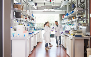 scientists working together in a lab