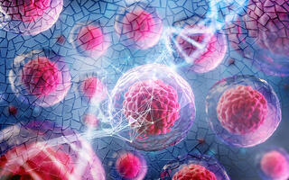 Genetic mosaicism more common than thought