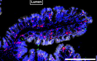 scientific image