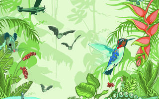 Illustration