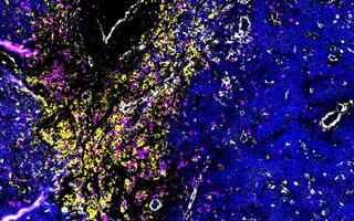 scientific image