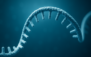 Messenger RNA strand 3D rendering