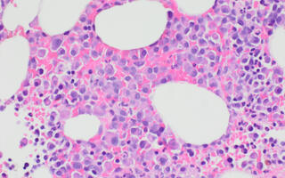 Scientific image