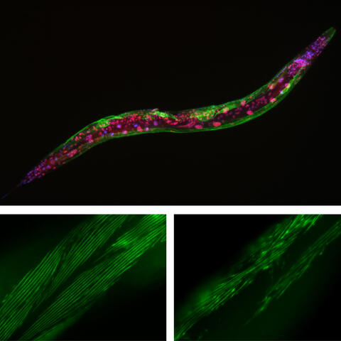 Tursun Highlight (08/19)