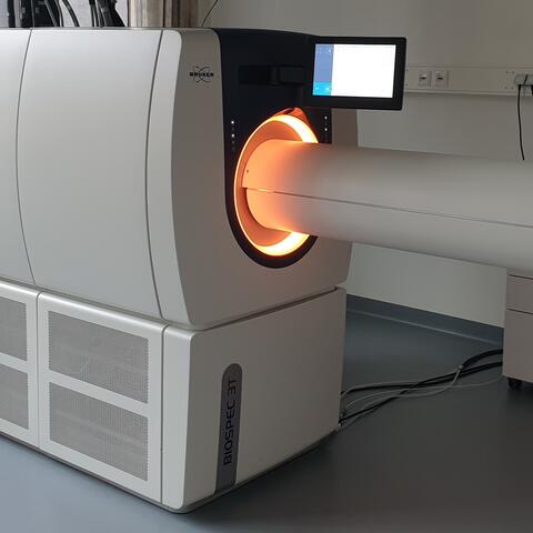 MRI Bruker 3T BioSpec