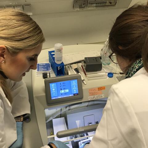 teachers making cryosections, wafer-thin sections of frozen tissue