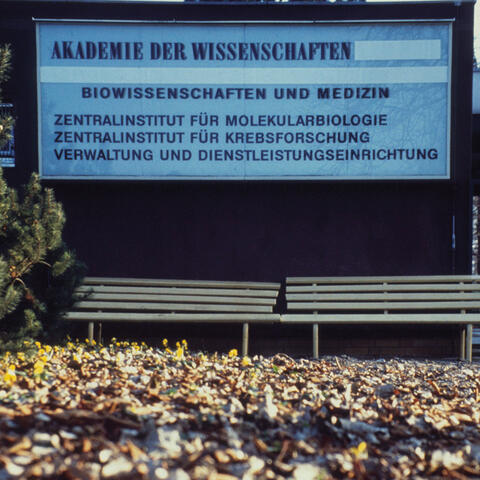 Tafel Akademie der Wissenschaften