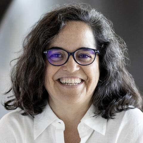 Prof. Dr. Ana Pombo