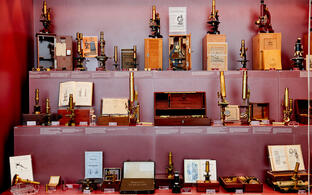 Mikroskopie Ausstellung Mikroskopie Ausstellung