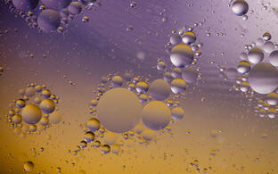 Lipid droplets