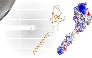 molecule model