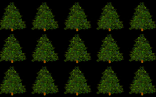 Sarkomer_Weihnachtsbäume_Collage