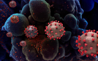 Novel Coronavirus SARS-CoV-2