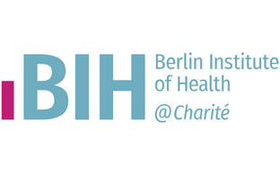 BIH Logo