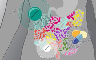Grafik eines Darms und seinen Mikrobiomen