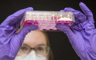 Box with artificial heart tissue