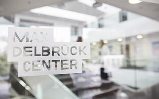 Logo des Max Delbrück Center auf einer Glasscheibe