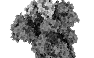 Struktur eines Proteins
