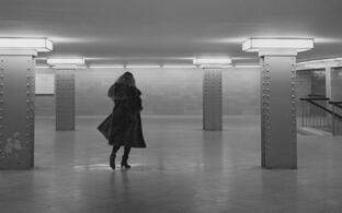 Header Bergemann