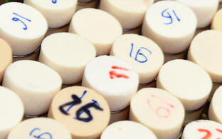 Header Bild Versuchstiermeldung