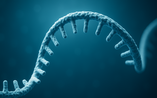 Messenger RNA strand 3D rendering