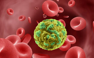 This digital illustration depicts a cancer cell in the blood stream.