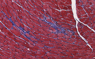 Scientific image