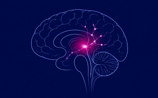 Scientific image