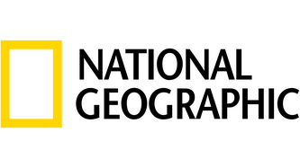 schwarz grau gelb