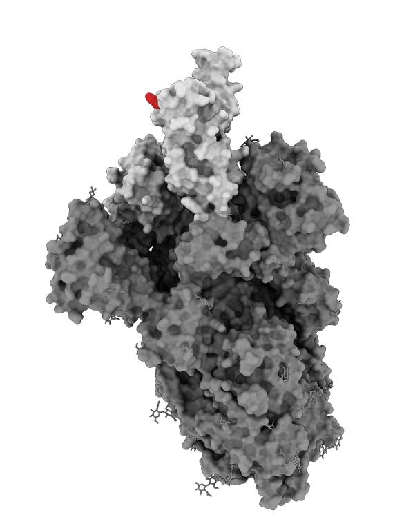 Struktur eines Proteins