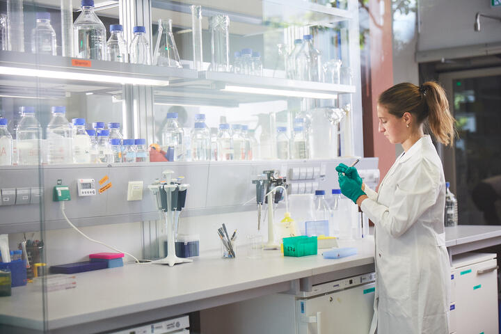 Workbench in a lab