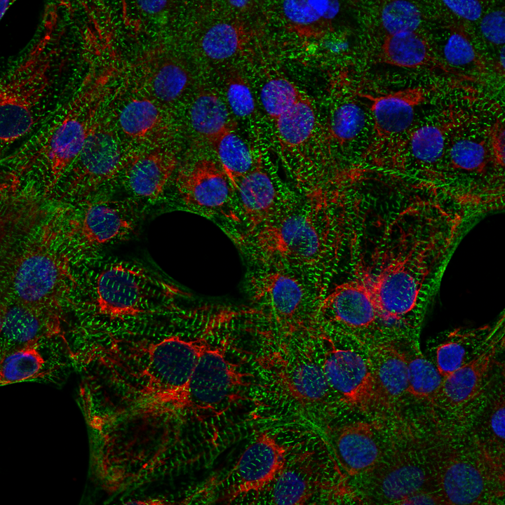 Wissenschaftliches Bild