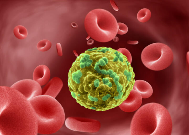 This digital illustration depicts a cancer cell in the blood stream.