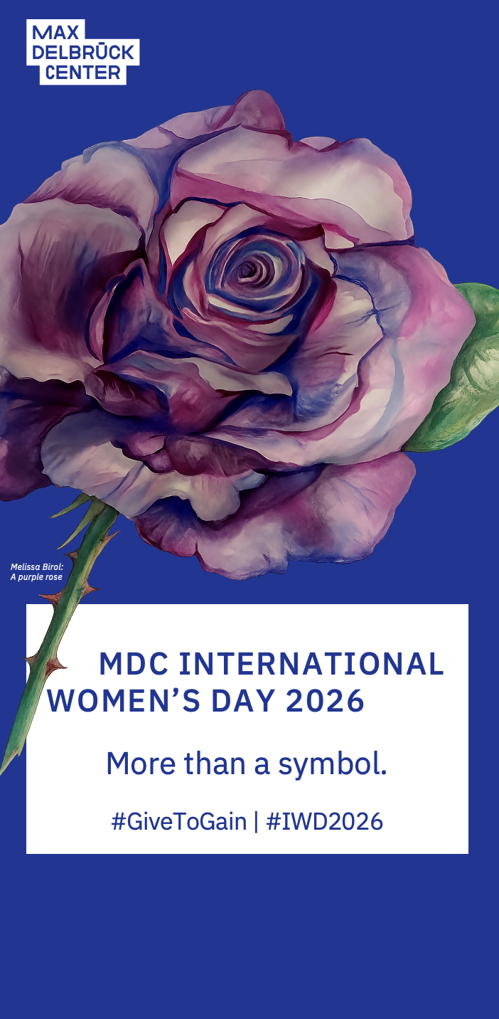 iwd2026