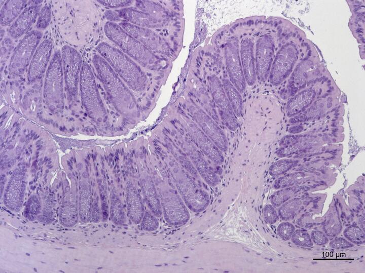 Wissenschaftliches Bild