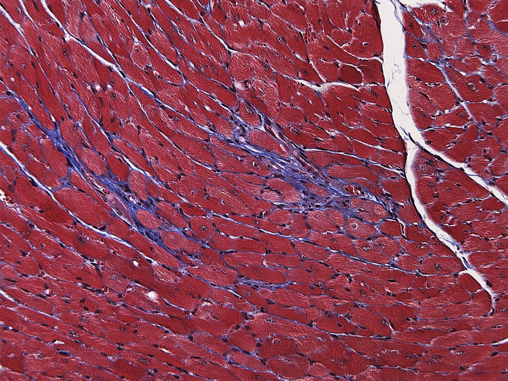 Wissenschaftliches Bild