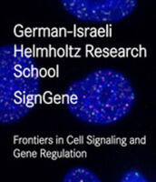 sigGene Flyer