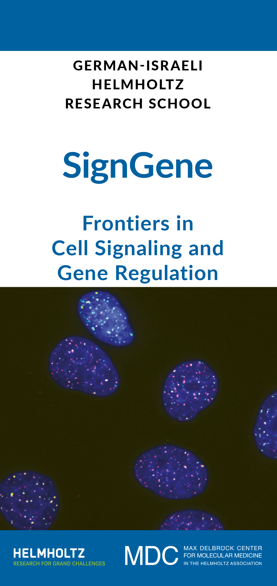 SignGene