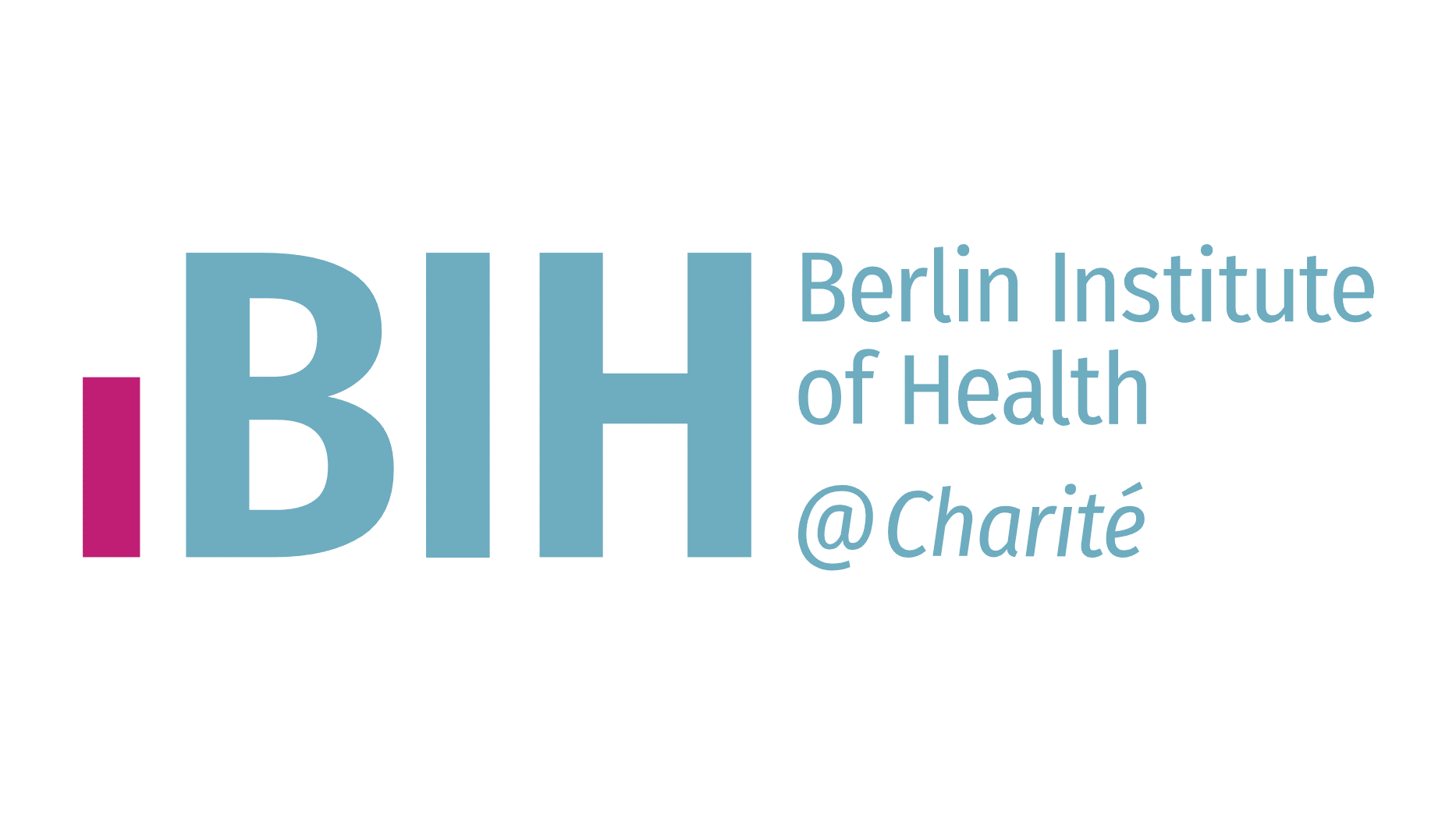 BIH Logo