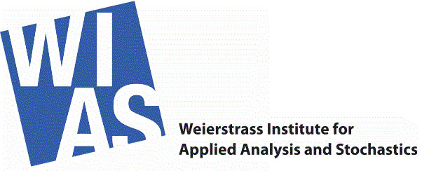 Logo Weiserstrass Institut