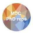 MDC PhD Reps Logo