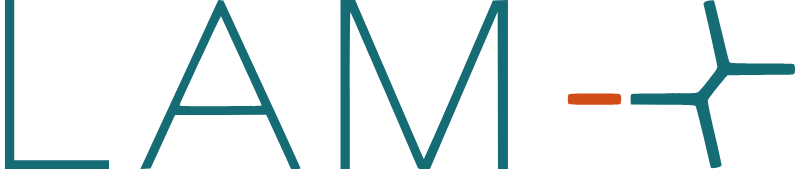 Logo-LAM-X