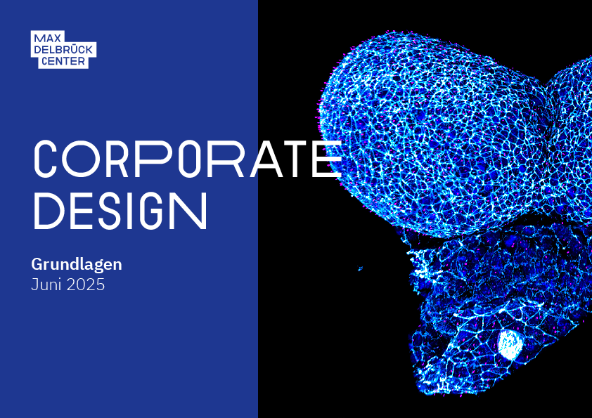 Corporate Design Manual