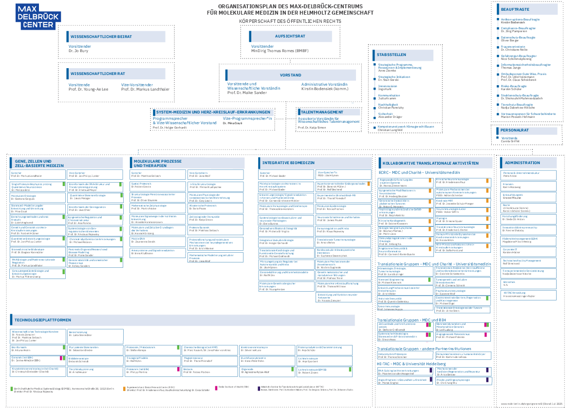 Organigramm (07/2025)