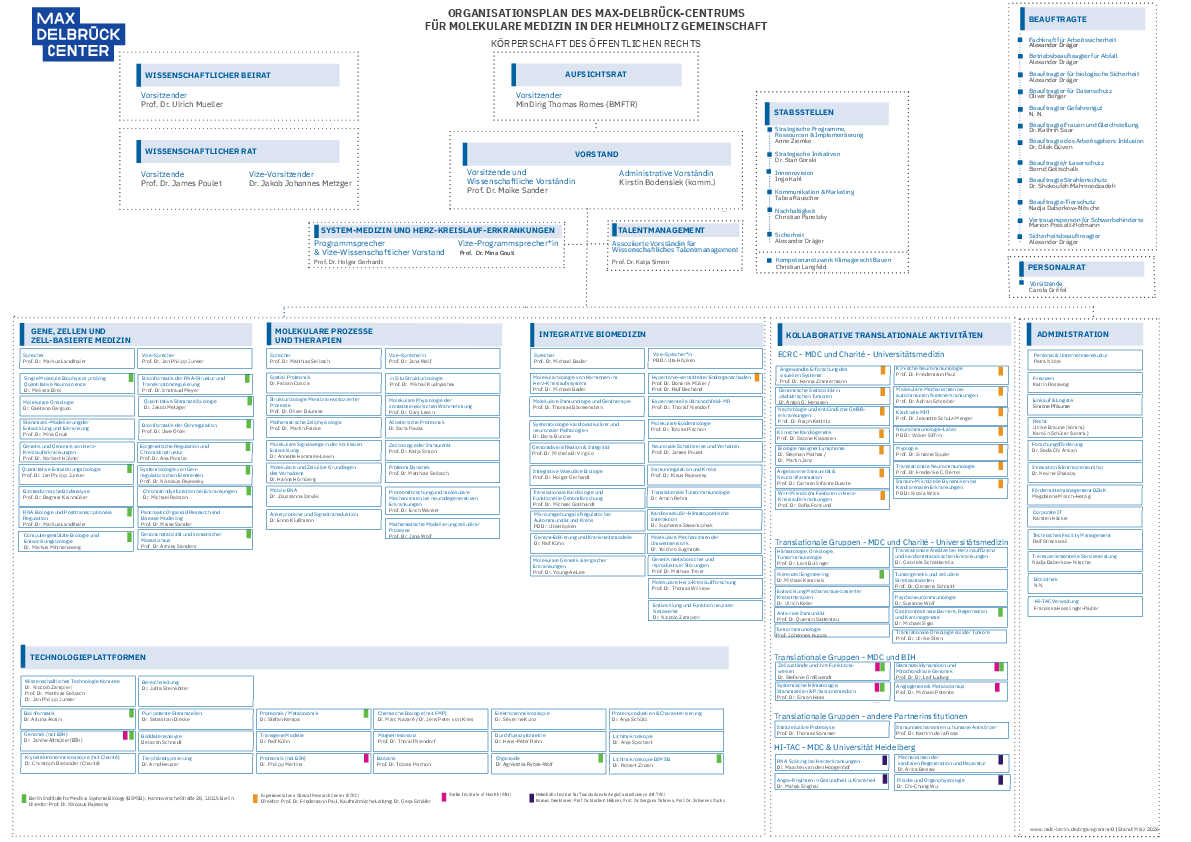Organigramm (03/2026)