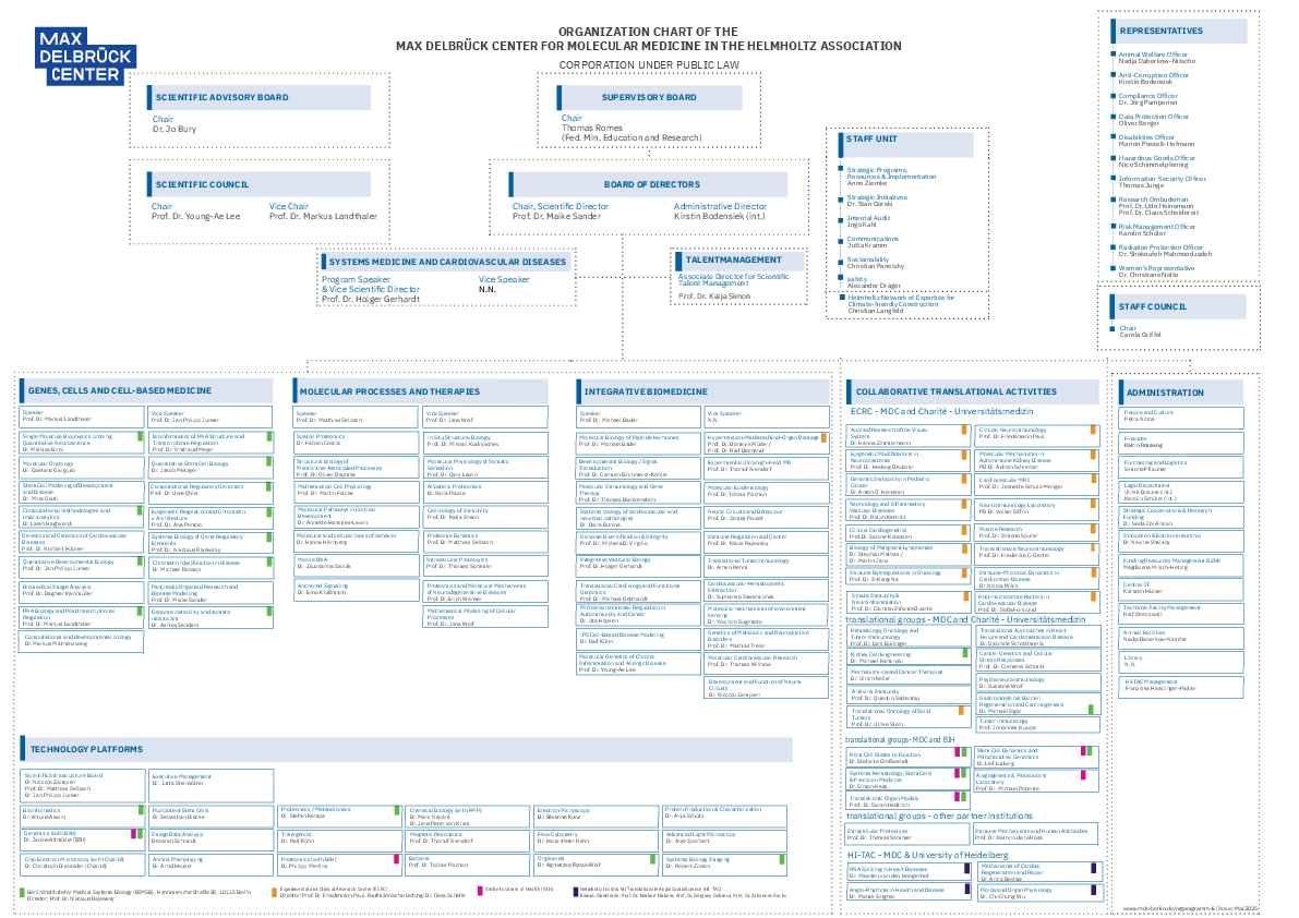 Organization chart (05/2025)