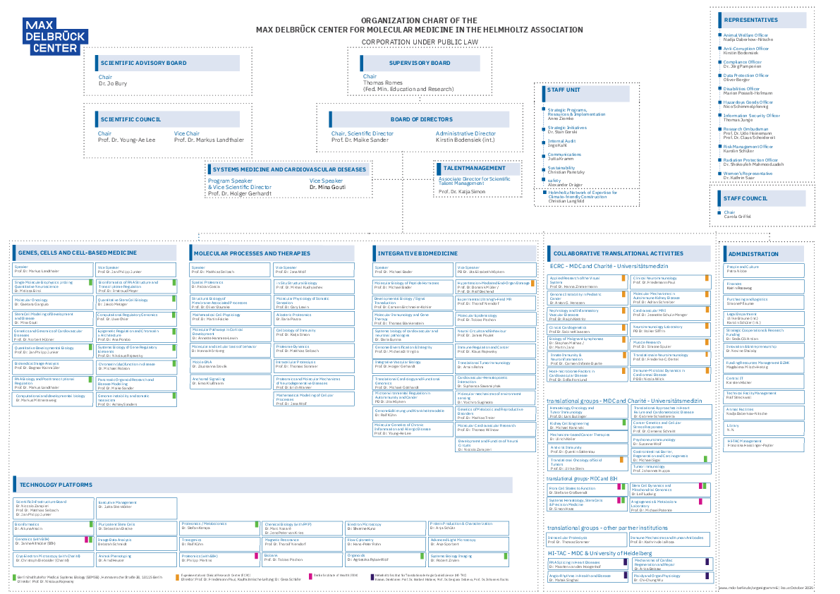 Organization chart (10/2025)