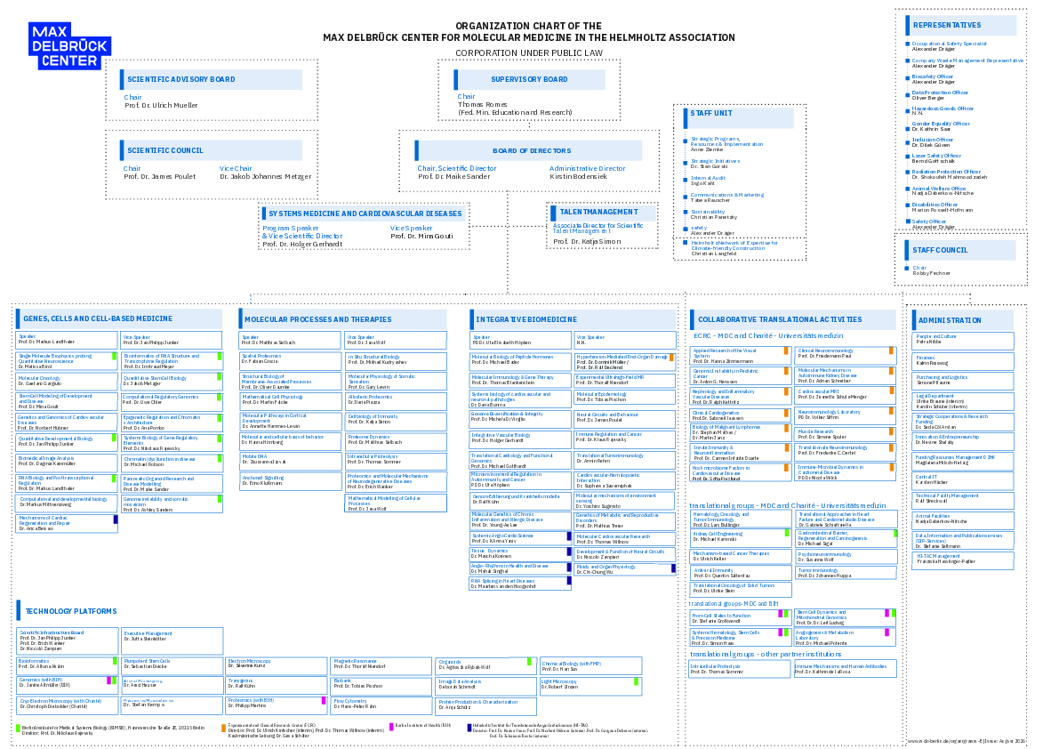 Organization chart (08/2026)
