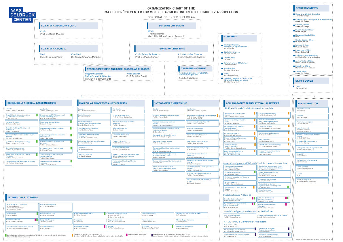 Organization chart (05/2026)