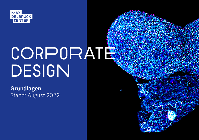 Corporate Design Manual